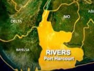 Ogoni Oil-Degraded Mangrove Restoration 75% Completed – HYPREP 12 Ogoni Oil-Degraded Mangrove Restoration 75% Completed – HYPREP