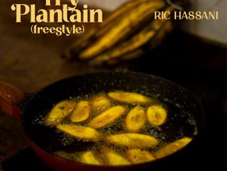 Ric Hassani - Fry Plantain (Freestyle)
