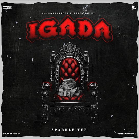 Sparkle Tee - Igada