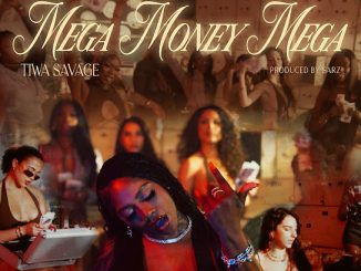 Tiwa Savage - MEGA MONEY MEGA 10 Tiwa Savage - MEGA MONEY MEGA