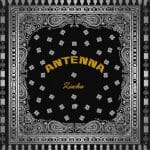 Zuchu - Antenna