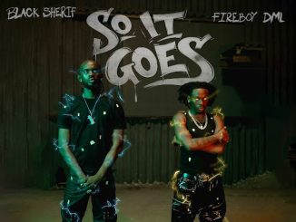Black Sherif - So it Goes ft. Fireboy DML 39 NaijaChoice News 42