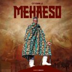 Cityzeen Ls - Mehaeso