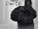 Danny S - Omo Lile