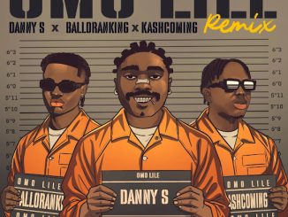 Danny S - Omo Lile (Remix) ft. Balloranking & Kashcoming 27 Danny S - Omo Lile (Remix) ft. Balloranking & Kashcoming