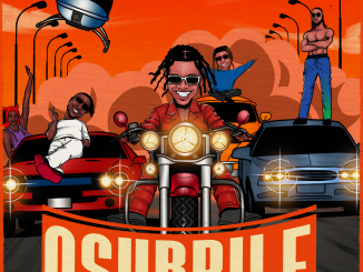 Mr Real - Osubrile
