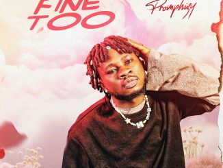 Promphizy - Fine Too 2 Promphizy - Fine Too