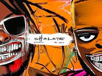 Kaestyle & Tml Vibez - Shalaye 12 NaijaChoice News 8