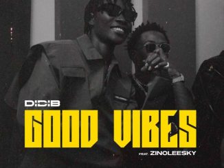 Didi B - Good Vibes ft. Zinoleesky 6 Didi B - Good Vibes ft. Zinoleesky