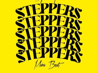 Dj khalipha - Steppers Mara Beat
