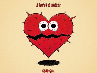 DJ Vyrusky - Good Girl (Evandy Girl)