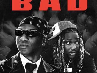 Hibreed - Bad ft. Hotkeed 8 Hibreed - Bad ft. Hotkeed