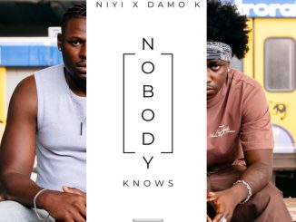 Niyi - Nobody Knows ft. Damo K