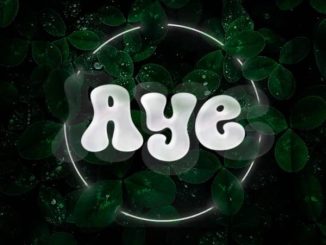 Professional Beat - Aye