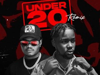 Rhymer lee - Under 20 Remix ft. Oluwadolarz 2 Rhymer lee - Under 20 Remix ft. Oluwadolarz
