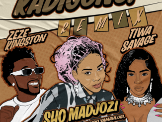 Sho Madjozi - Kadigong Remix ft. Tiwa Savage, Zeze Kingston, Gemini major, Ntando yamahlubi, Exclusive Drumz, Tee Jay 7 Sho Madjozi - Kadigong Remix ft. Tiwa Savage, Zeze Kingston featuring Gemini major, Ntando yamahlubi, Exclusive Drumz, Tee Jay & Gemini major