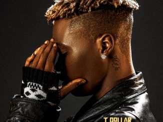 T Dollar - No Stress 6 T Dollar - Loke