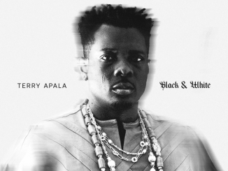 Terry Apala - Sebebe ft. Spellz 24 Terry Apala - Story