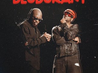 TOOFAN - Deodorant 3 TOOFAN - Deodorant