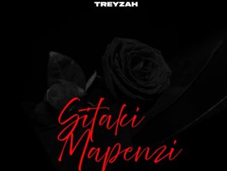 Treyzah - Sitaki Mapenzi 37 Treyzah - Sitaki Mapenzi