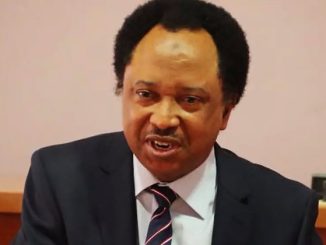 2027: Shehu Sani Declares Interest In Kaduna Central Senatorial Seat 32 19180486 shehusani1 jpegc629ac59b1b81f5b967d3921356842dd