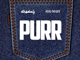 Shoday & Ayo Maff - PURR 13 NaijaChoice News 6