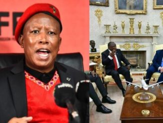 Julius Malema fires back after Donald Trump plays controversial clips during Oval Office meeting