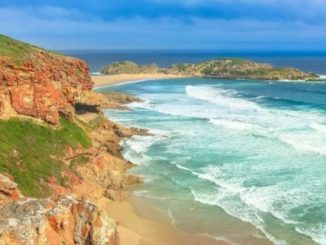 5 scenic hiking trails with ocean views in the Western Cape