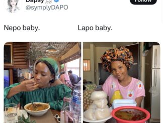 NEPO Vs LAPO Babies Memes: Are You Nepo Or Lapo? (Pictures) 12 19423225 20250721204129 jpeg3e01ca1def4162f47f71545d67ecf589