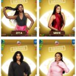 BBNaija Season 10 unveils first four housemates