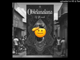 DJ YK Mule - Oblelanalana 2 DJ YK Mule - Oblelanalana