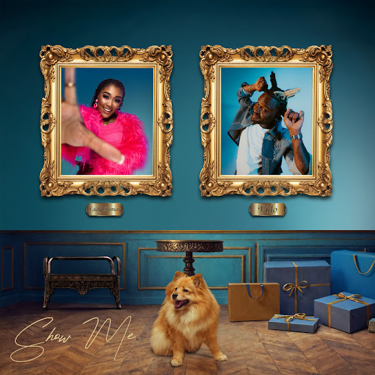 Lady Zamar - show me ft. Fido