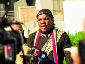 Ngizwe Mchunu says he’s in America to protect SA peace 11 Ngizwe Mchunu says he’s in America to protect SA peace