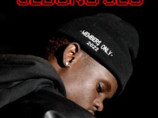 Sizwe Nineteen - Sebono Seo ft. Bunny Energizer & Katlego Flex 12 Sizwe Nineteen - Sebono Seo ft. Bunny Energizer & Katlego Flex