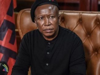Julius Malema tells Zimbabweans to seek municipal jobs in their own country 3 Julius Malema tells Zimbabweans to seek municipal jobs in their own country