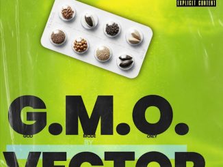Vector - G.M.O. (Freestyle) 16 Vector - G.M.O. (Freestyle)
