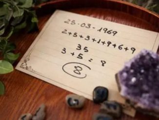 What’s your life path number? Here’s how it might help you find direction 36 What’s your life path number? Here’s how it might help you find direction